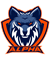 Alpha Hockey Team