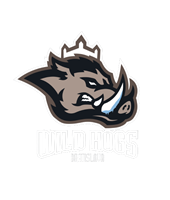 Wild Hogs